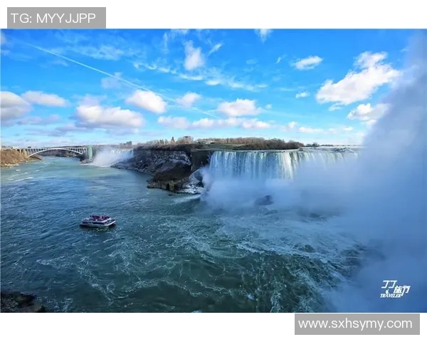华盛顿与多伦多激战正酣比分揭晓引发球迷热议
